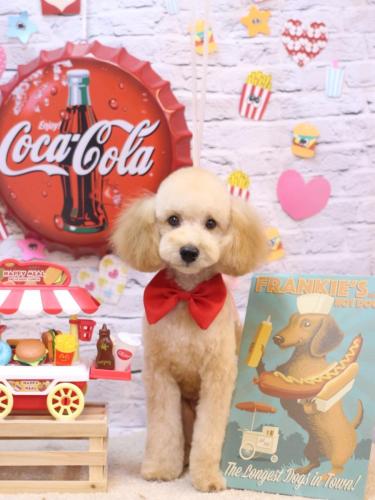 20230910りとくん